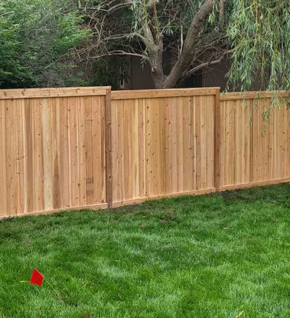 Cedar privacy fence — shadowbox